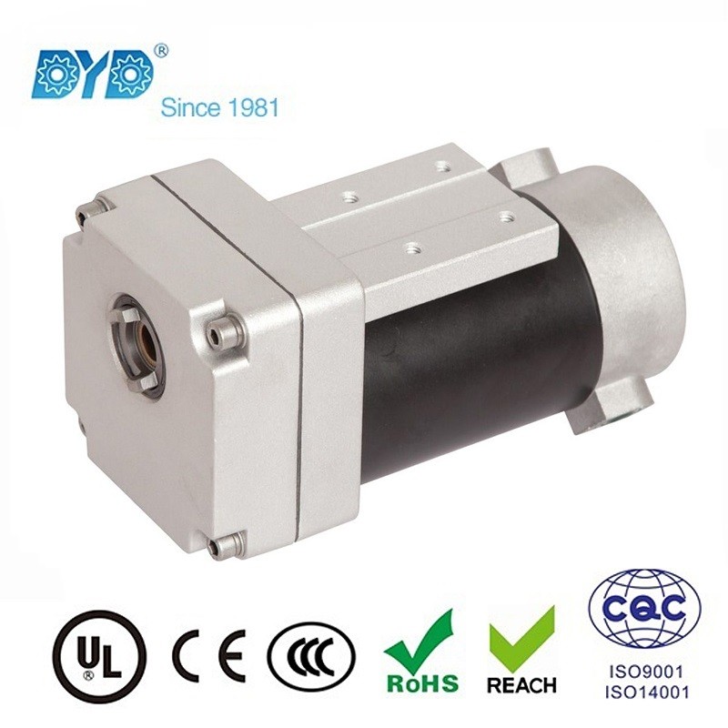 IP55 80ZY140-98JB12.308 Hollow Shaft DC Spur Gear Motor