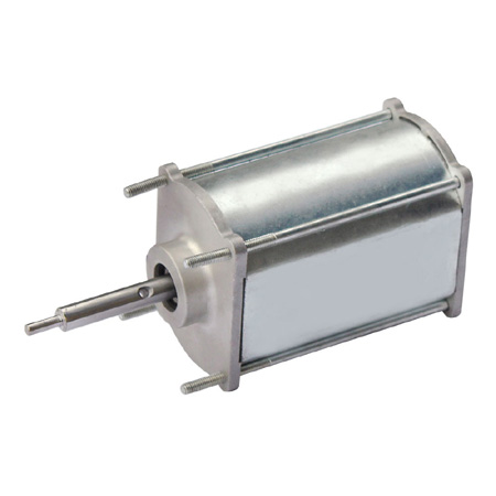 50ZY DC Brush Motor 