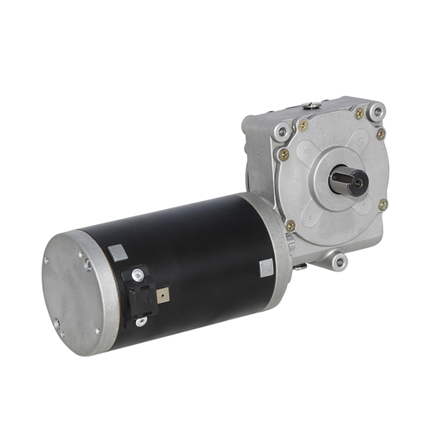 80ZY-12/102WJ IP55 Gear Motor 