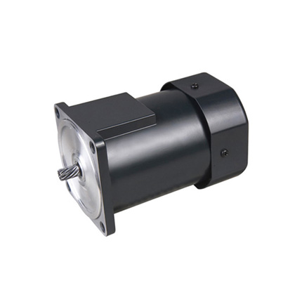 AC Planetary Gear Motor 60W