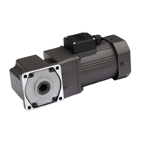 AC Hollow Shaft Gear Motor Series