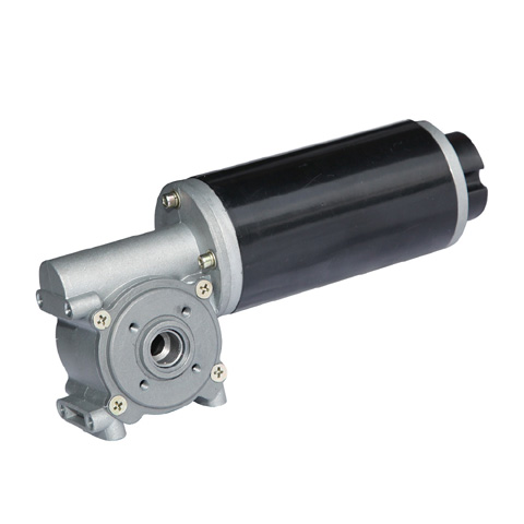 63ZY-63WJ Hollow Shaft Gear Motor 